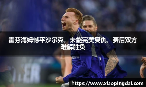 霍芬海姆憾平沙尔克，未能完美复仇，赛后双方难解胜负