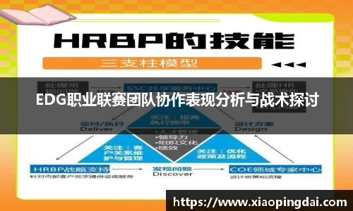 EDG职业联赛团队协作表现分析与战术探讨